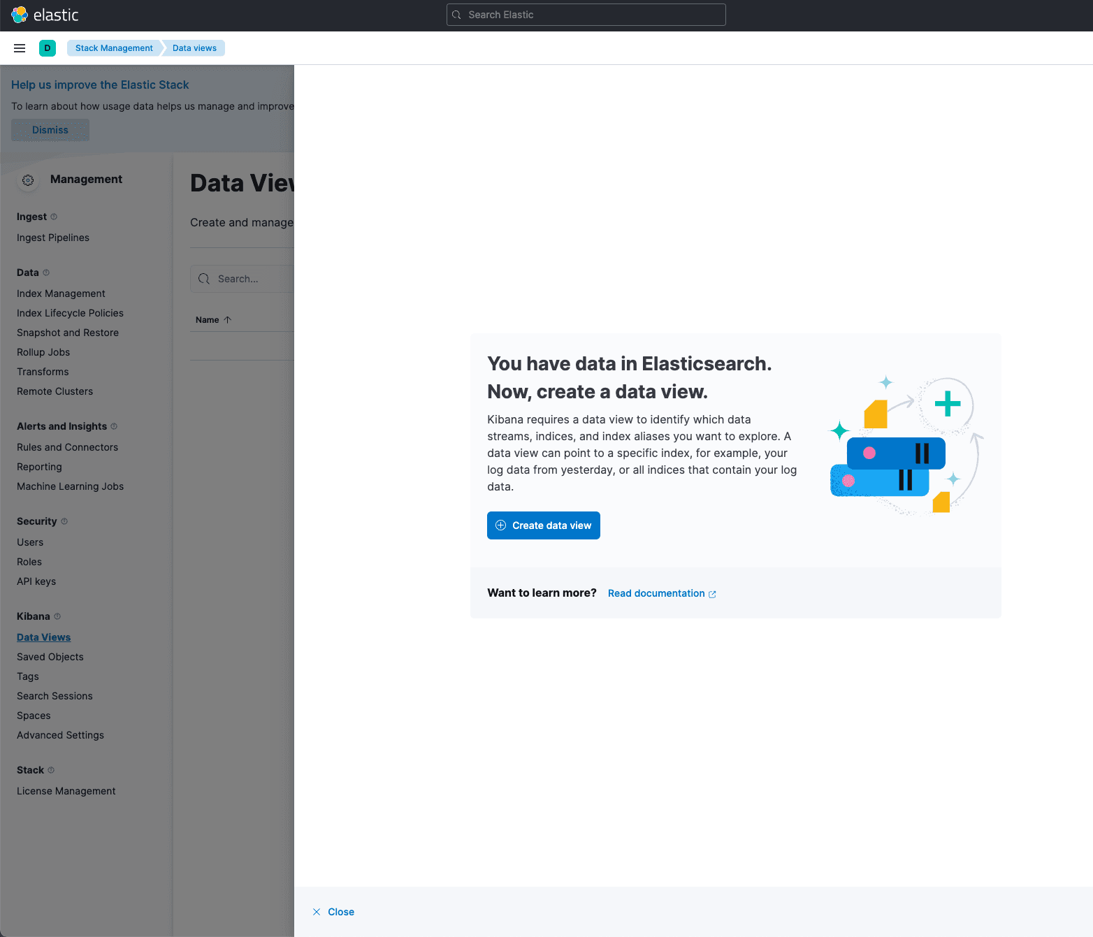 Kibana Data View